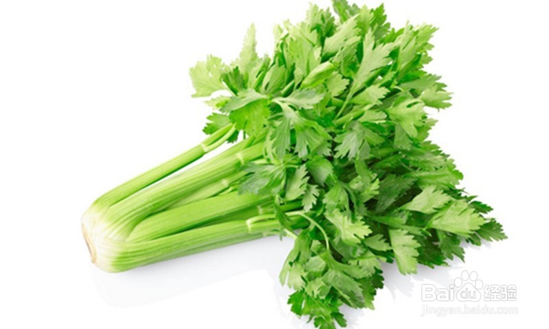 高血压的治疗和预防注意事项