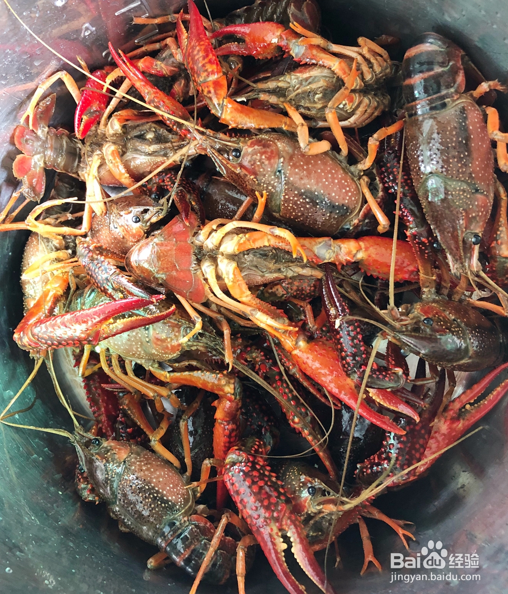 都爱吃的小龙虾