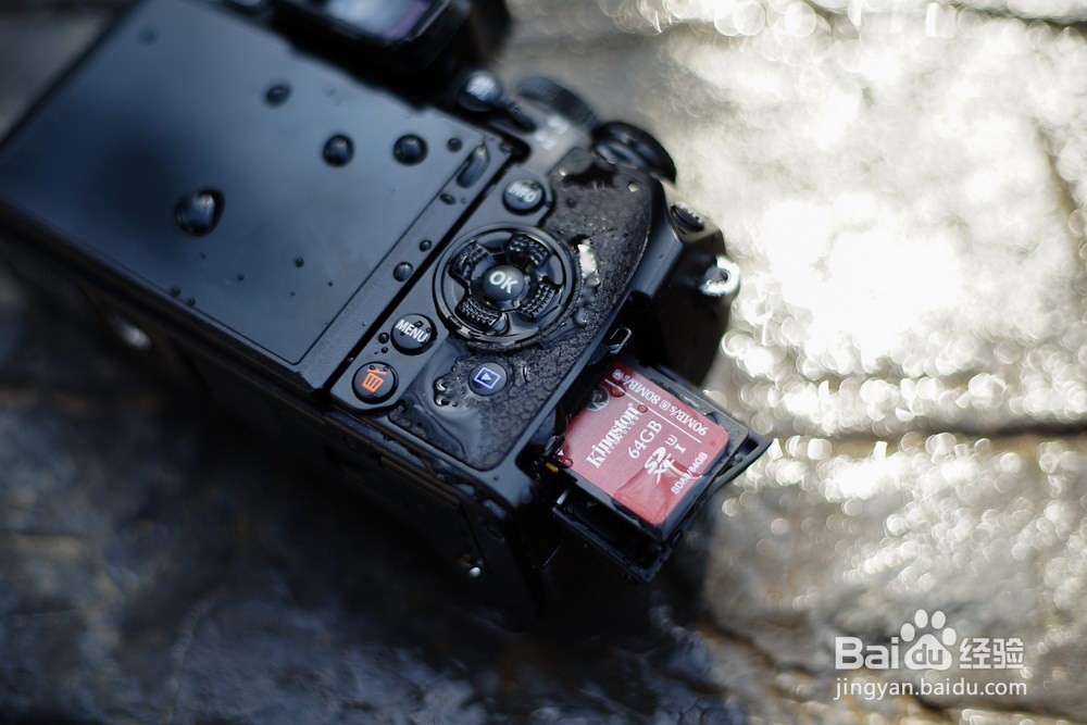 怎么选择数码相机 如何选择数码照相机