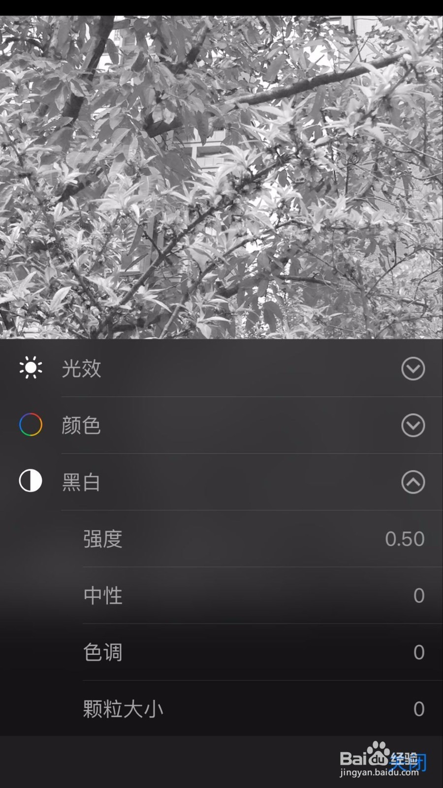 苹果手机把照片变成黑白艺术照的5个方法