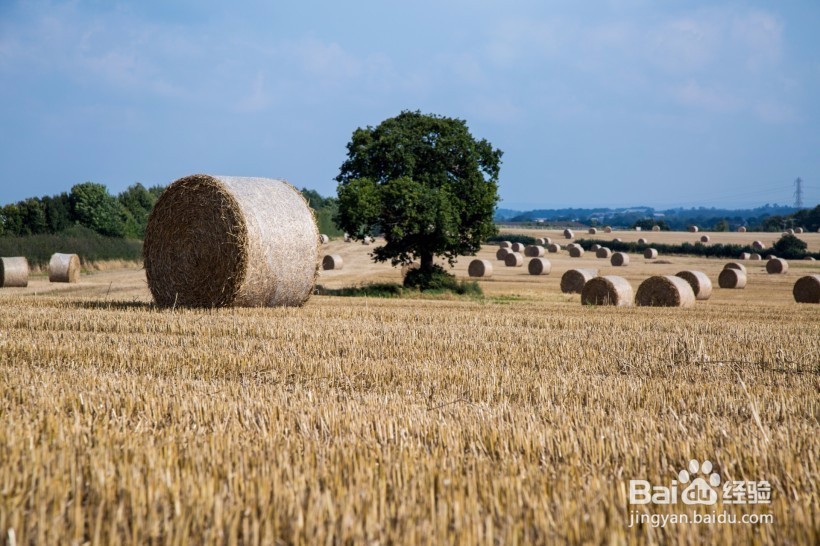 你离高分只有一本考研复习资料的差距
