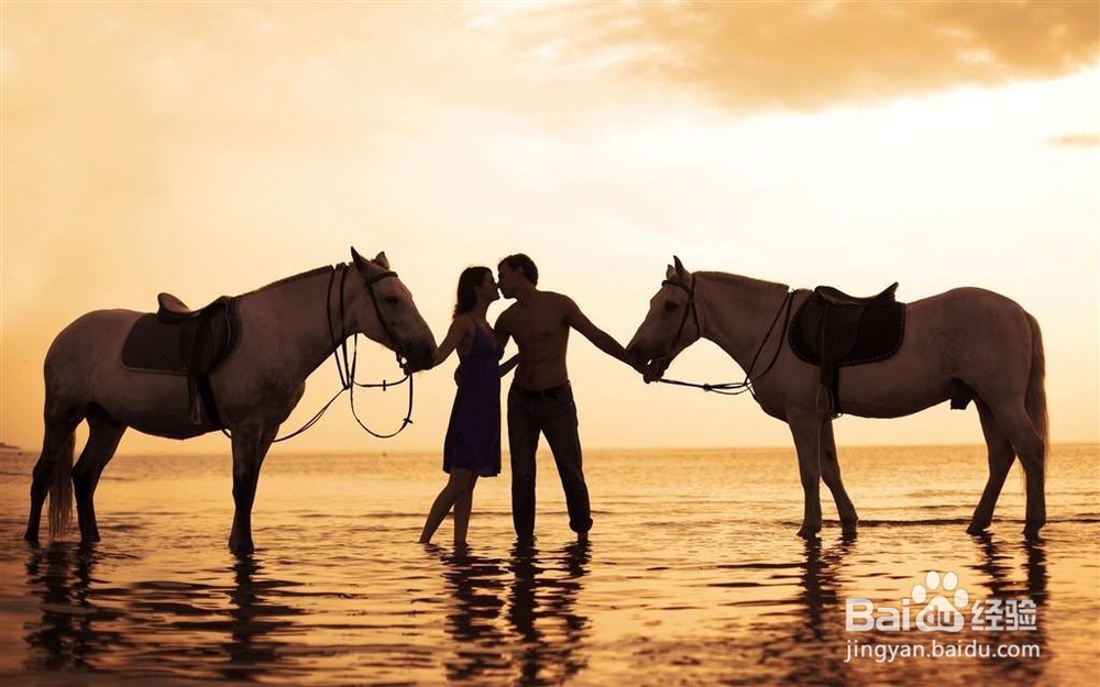 机智的撩妹语句