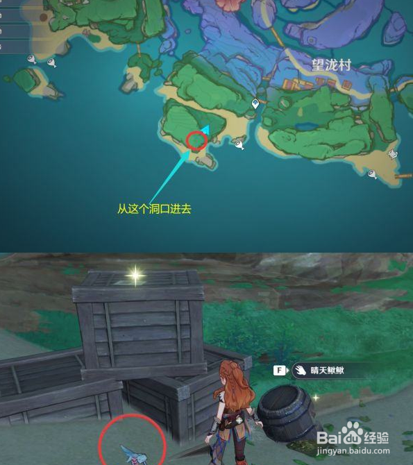 原神四方八方之网晴天鳅鳅蓝蛙黄金蟹位置