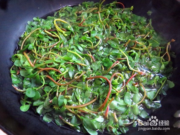 如何做出好吃的凉拌马齿苋