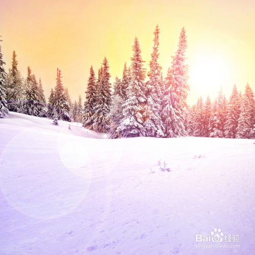 冬季养生进补技巧?