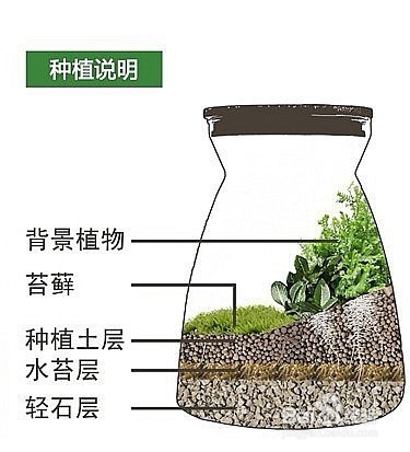 手把手教您制作苔藓微景观
