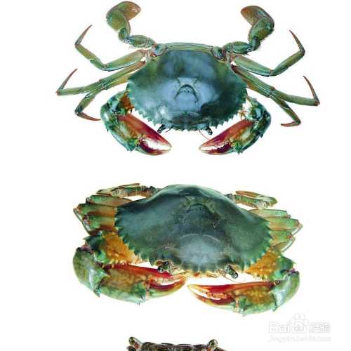 剩下的螃蟹第二天怎么吃