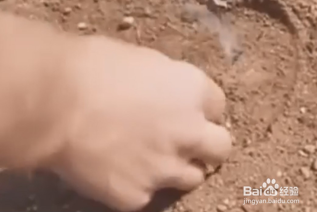 如何了解永不熄灭的火柴？