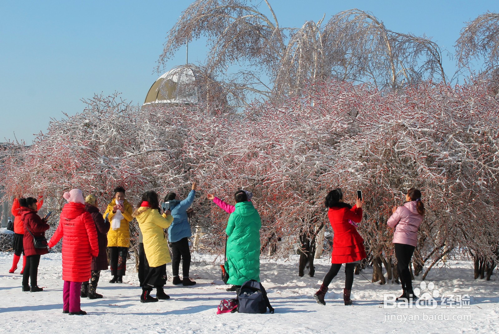 怎样用古诗形容长春2020年冬季第一场雪