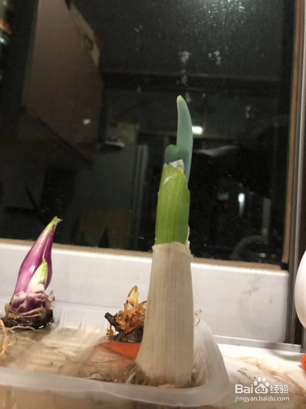 十分钟出锅！北方家常菜，蛋焖饭