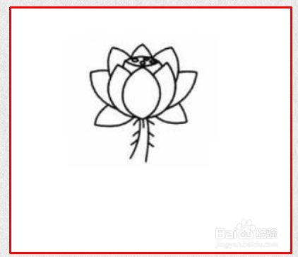 荷花的简笔画