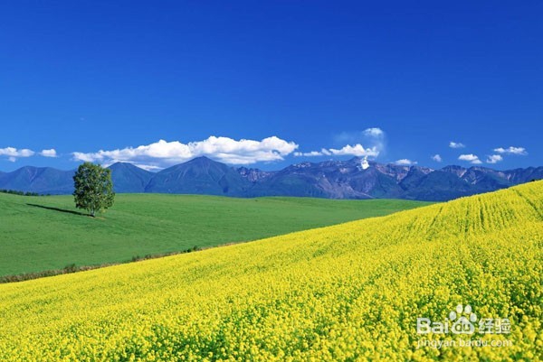 电热水壶不抽水怎么办