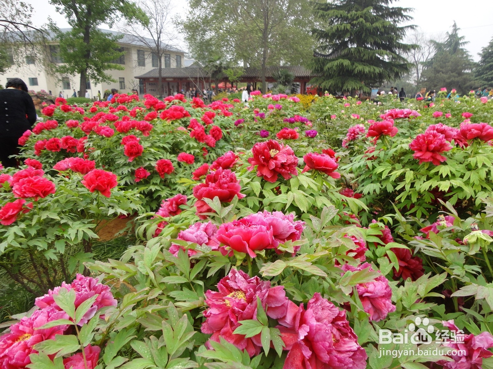 健康养生，快乐之本