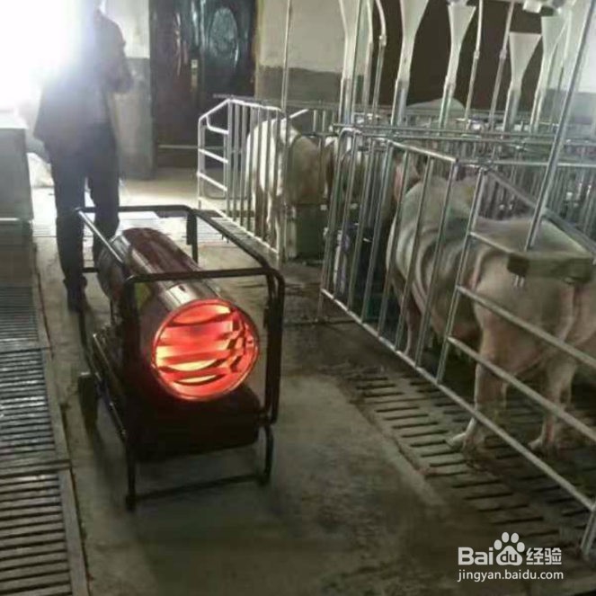 养殖燃油热风机采购须知