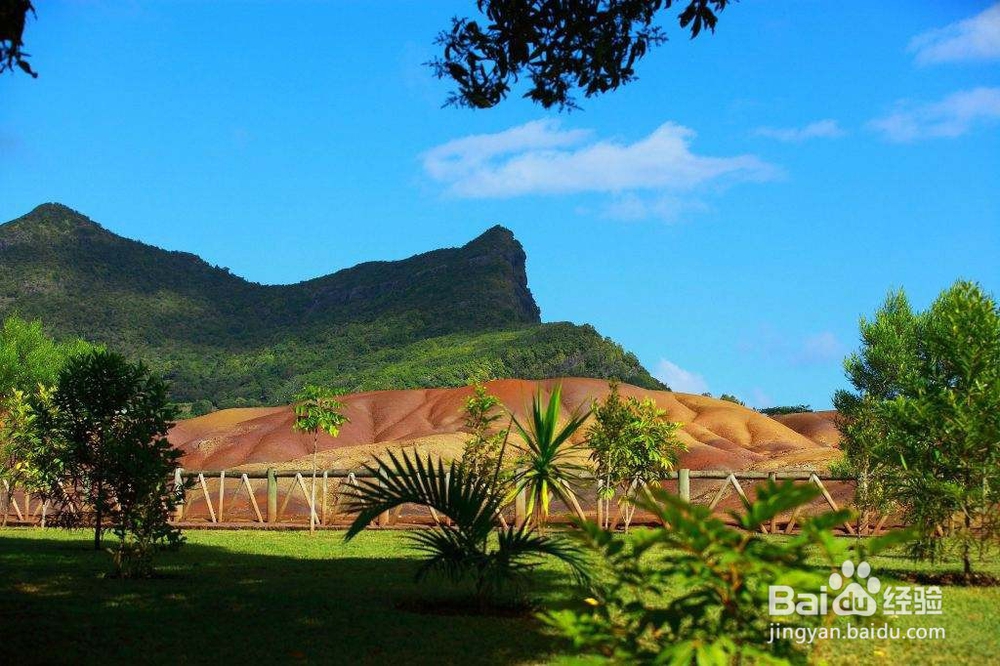 马达加斯加怎么玩