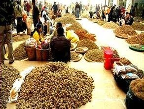 云南三七的吃法及功效