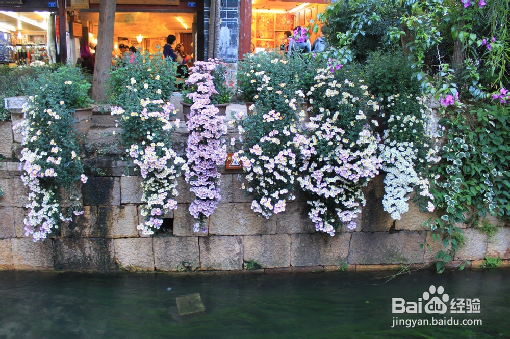 旅游-云南六日行-Day3