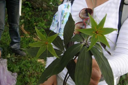 宜春古庙村旅游攻略