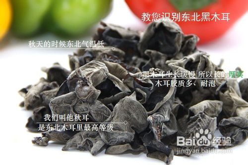 教您识别东北黑木耳