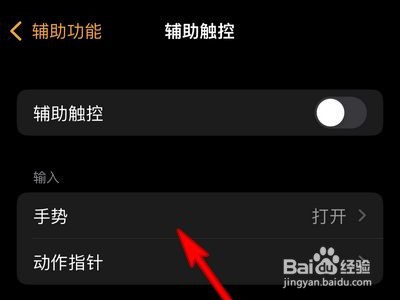 watchos8怎么设置手势功能