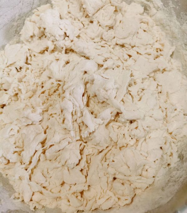 韭菜小墨鱼虾皮水煎包