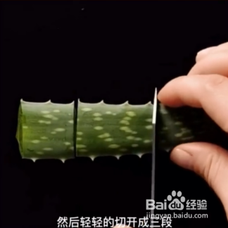 种植的小妙招