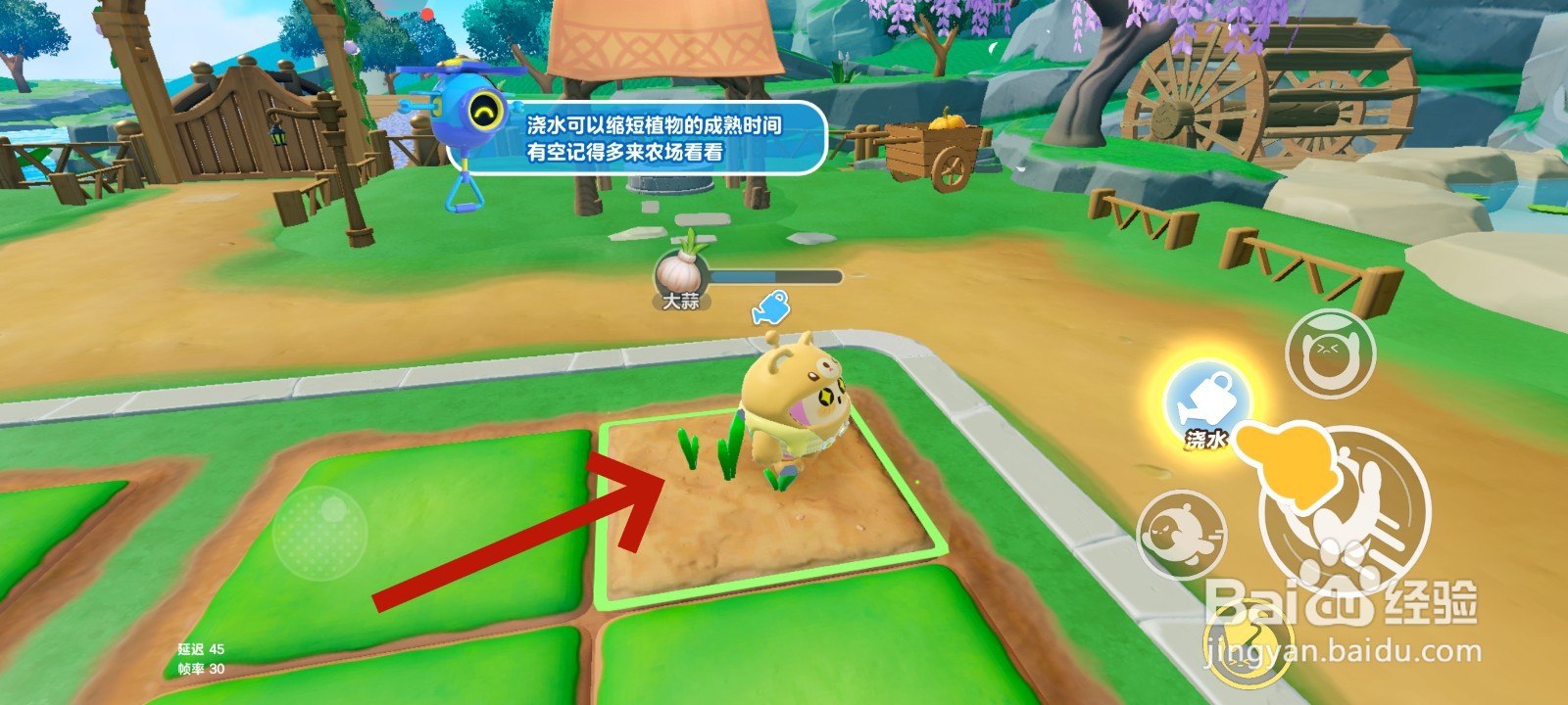 蛋仔派对游戏中给大蒜浇水的教程