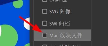 Animate如何设置发布的放映文件