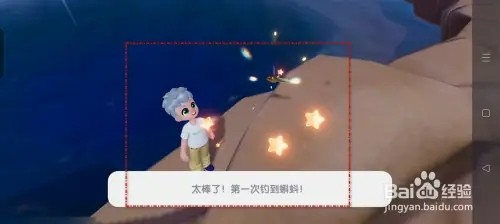 心动小镇蝌蚪如何钓
