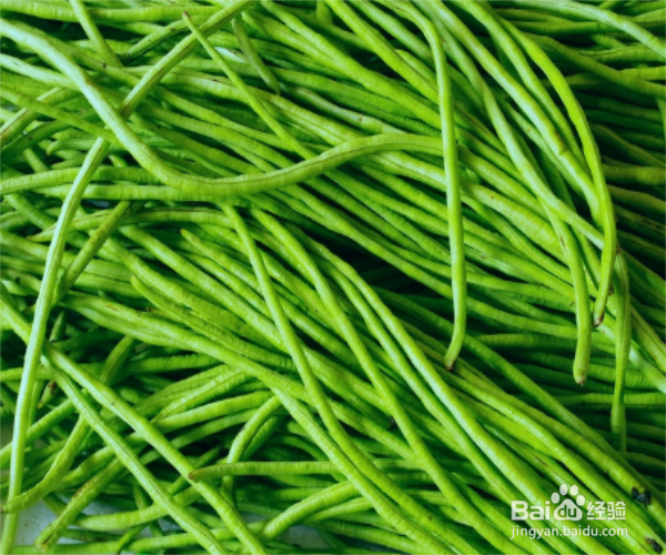 快速凉拌菜——虾皮拌豇豆