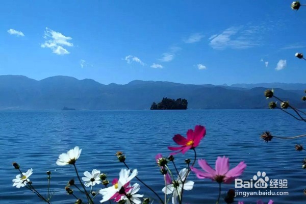 最美女儿国泸沽湖旅游攻略—9-10月最美的格桑花