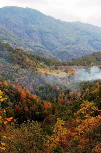 婺源秋季旅游线路及旅游攻略推荐
