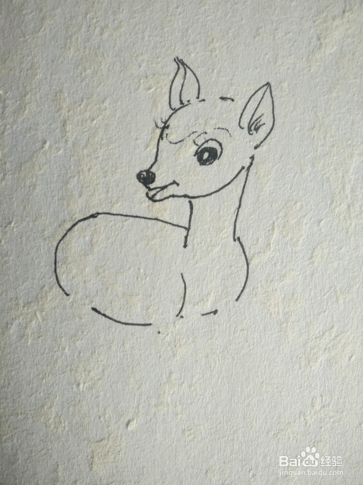 小鹿简笔画彩色