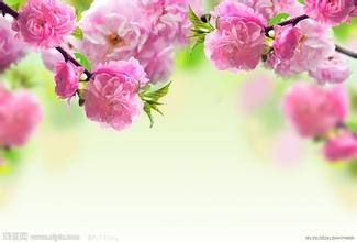 怎样让孩子提高写作能力