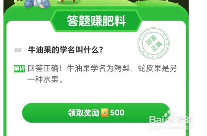 芭芭农场2024.8.28：牛油果的学名叫什么?