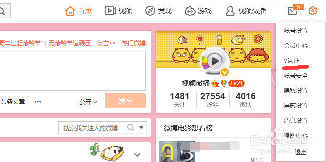 新浪微博粉丝积累