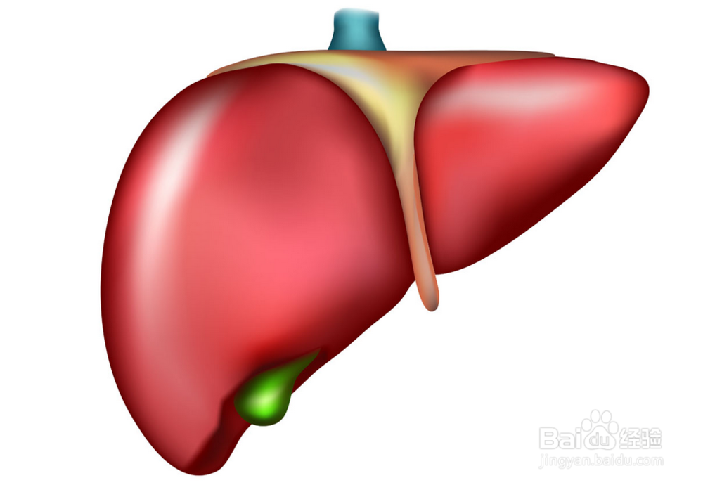 如何从人体表面发现病症并且对症下药
