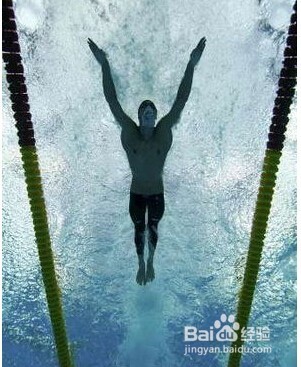 游泳怎么换气之蛙泳