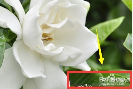 腾讯微博如何安排水印位置