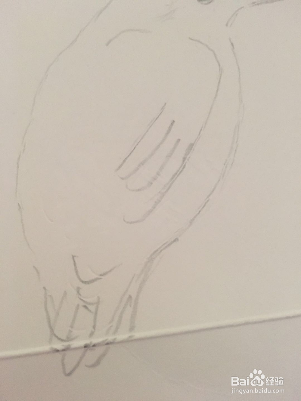 怎样画一只翠鸟的彩铅画呢