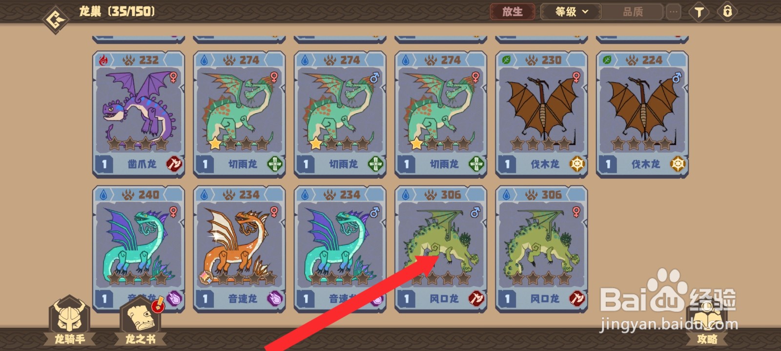 驯龙高手旅程如何放生风口龙