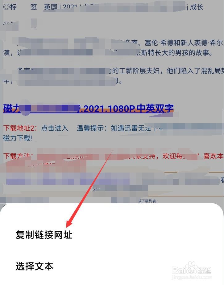 迅雷链接在safari里无法复制