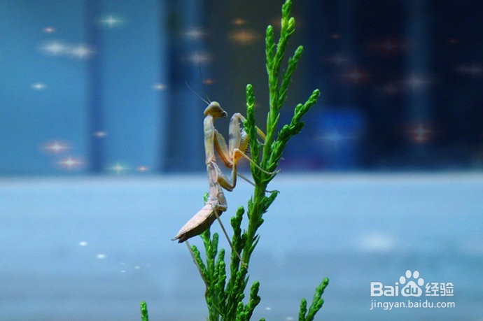 辟谷导师对一些工作问题的看法