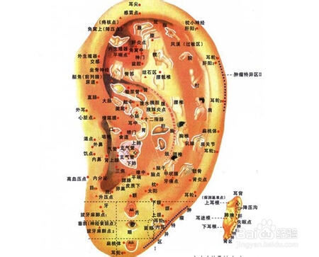 坐车就晕车的朋友预防晕车法