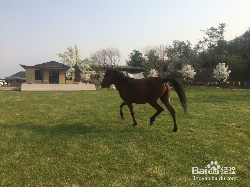 辽金古城--再现锦州辽金时期尘封的记忆