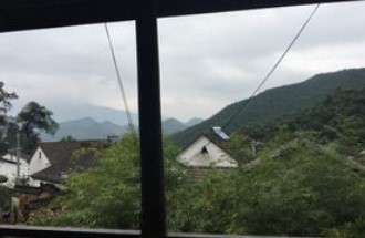芒特普莱森林旅游攻略