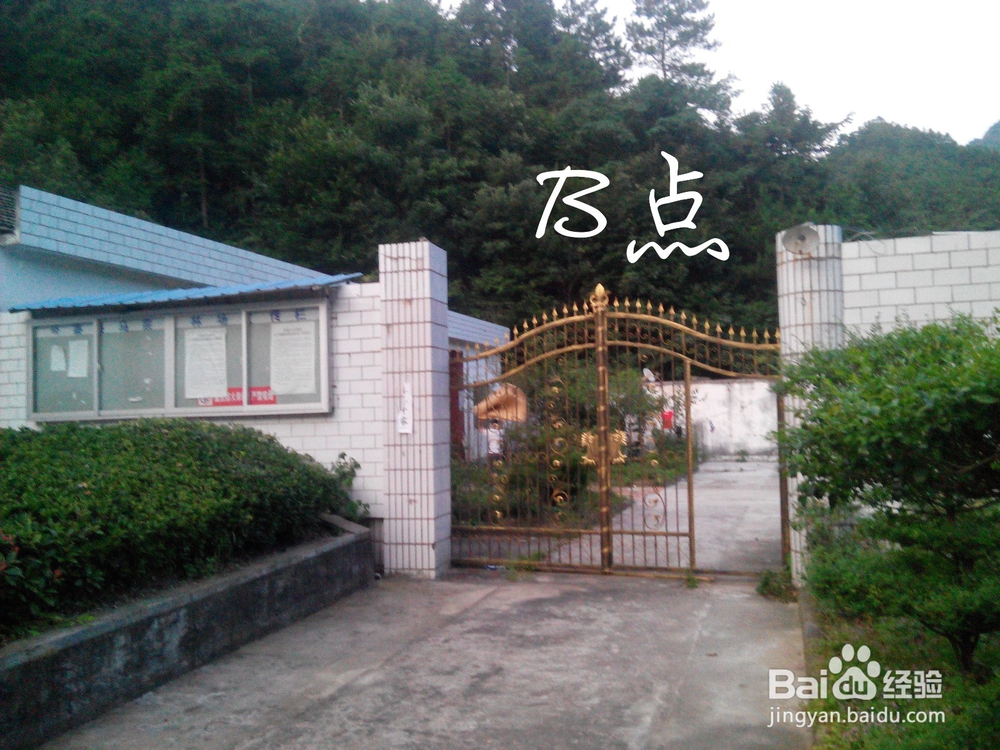 【金寨县马鬃岭实习攻略】