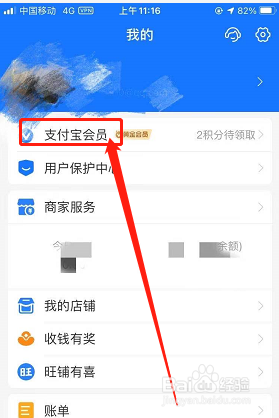 支付宝霍格沃茨凤凰魔法皮肤可以用到什么时候？
