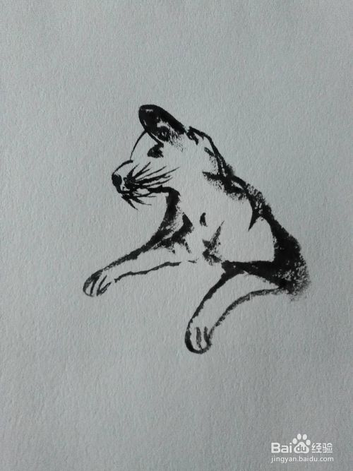国画猫的水墨画法 百度经验