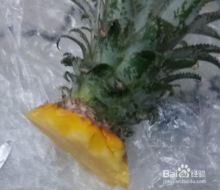 路边剪个枝，插土里就活，1年结果200个